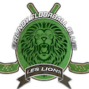 Les Lions de Brunoy – Floorball Club